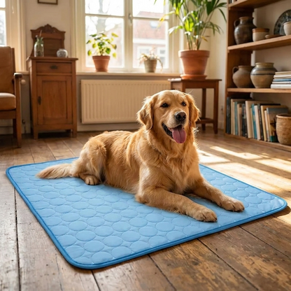 COOLIE - hond koelt af op de mat in de woonkamer