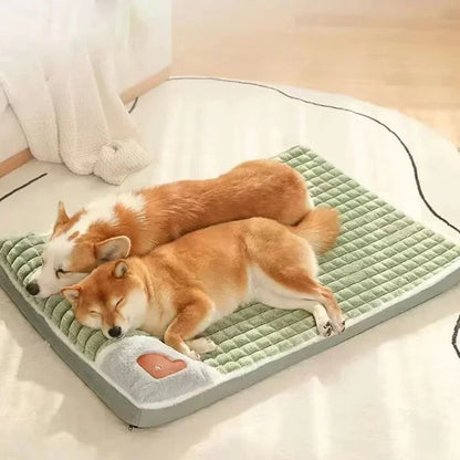 COZY Eindelijk weer moeiteloos liggen voor je hond