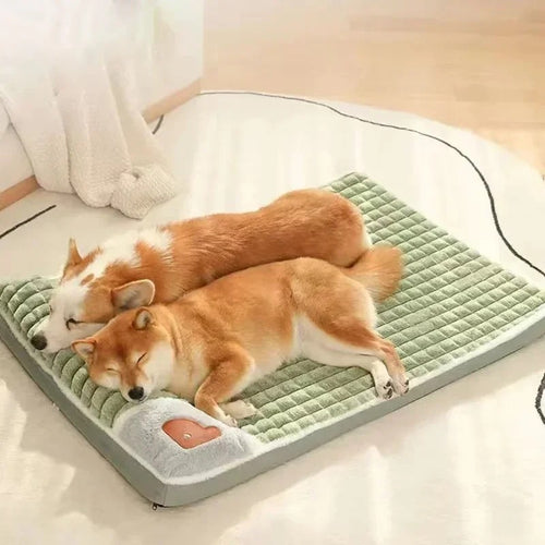 COZY Eindelijk weer moeiteloos liggen voor je hond