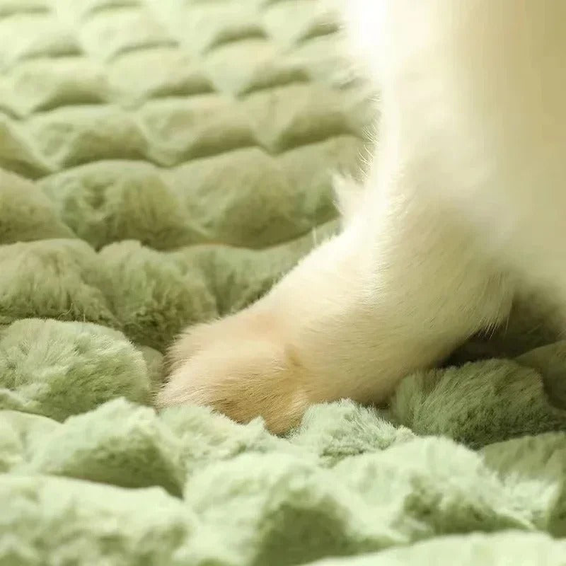 COZY Eindelijk weer moeiteloos liggen voor je hond